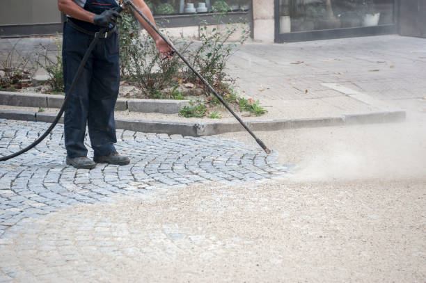 Best Roof Washing  in Grandview Heights, OH